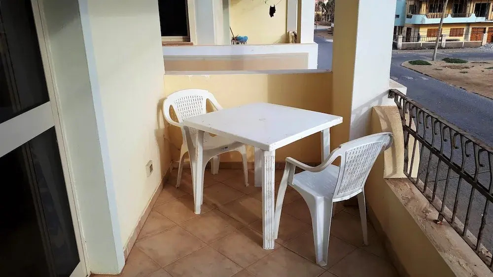 Oasis Palmeira