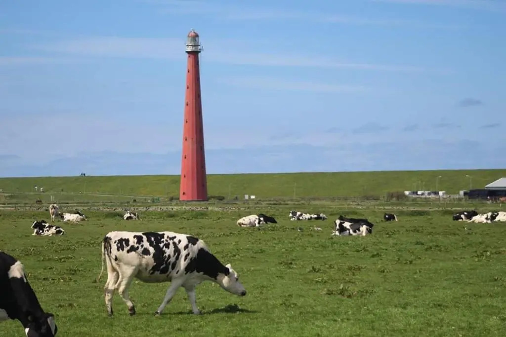 Overnachten onder de Lange Jaap