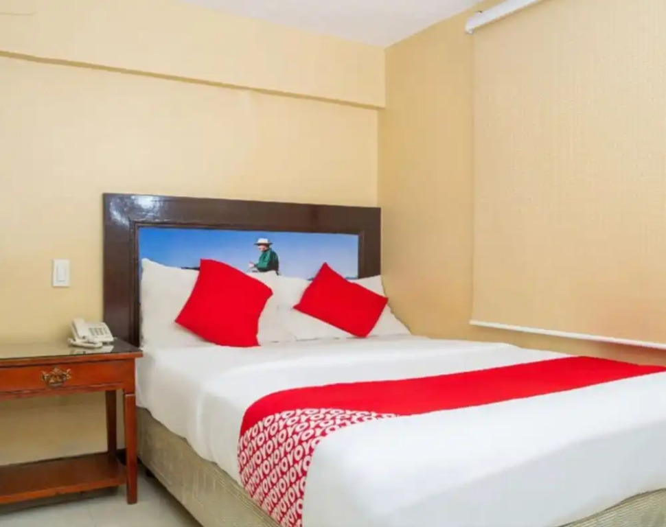OYO 133 Jazzy James Country Hotel 2