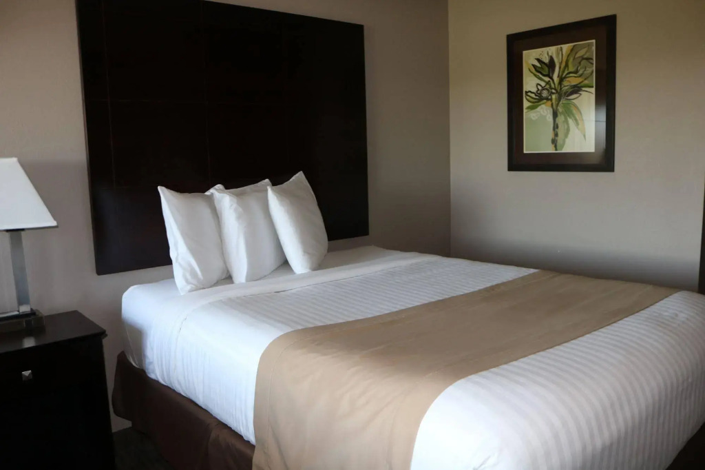 Qube Hotel - Polk City