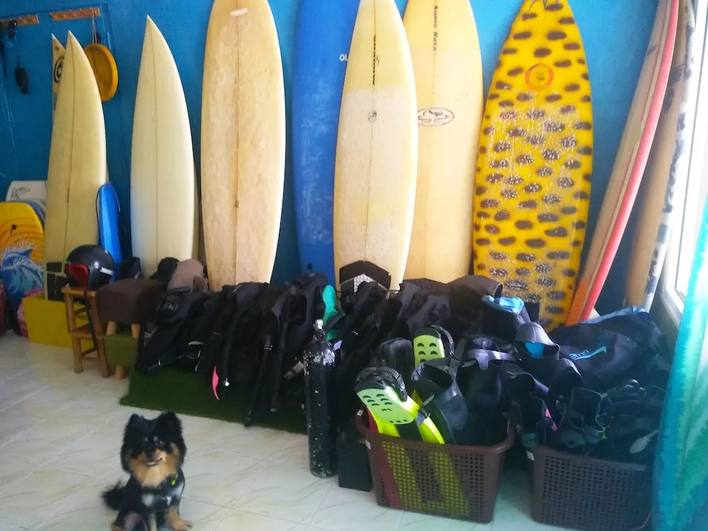 BONOBO Hostel Langkawi