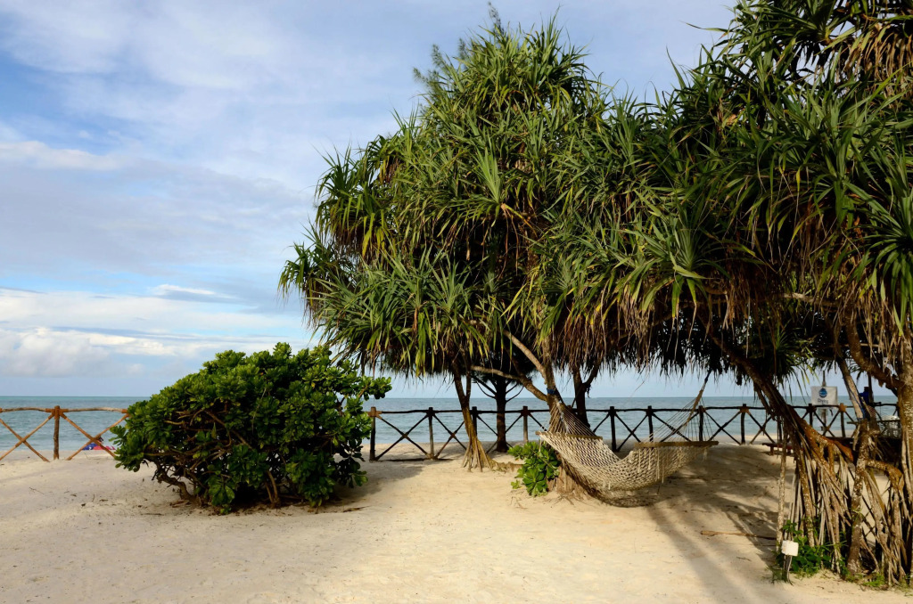 Ocean Paradise Resort & Spa