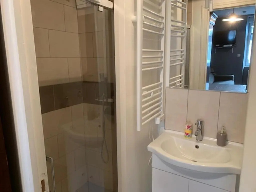Appartement Mont-Dore, 1 pièce, 2 personnes - FR-1-415-108