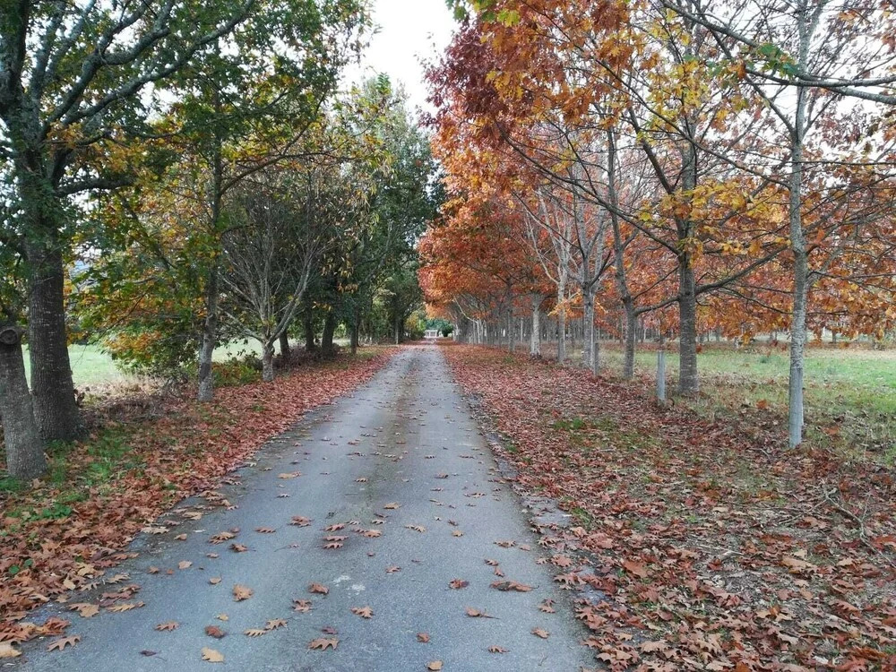 Quinta Grande da Raposeira