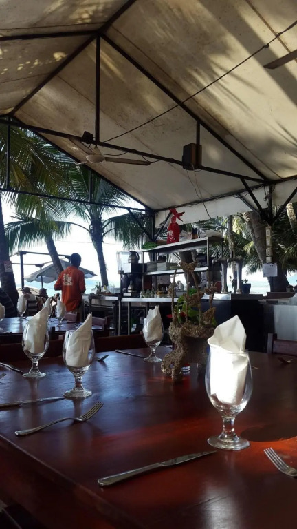 Hotel La Palapa