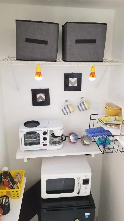 Yellow-Gray Tropical Studio