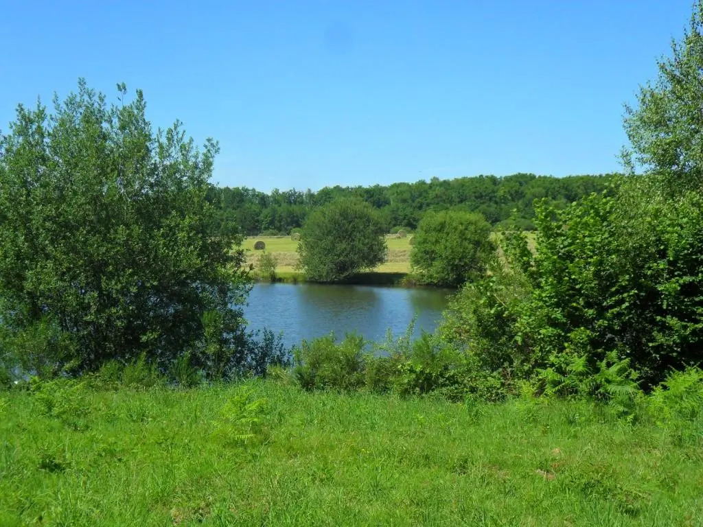 Bachellerie