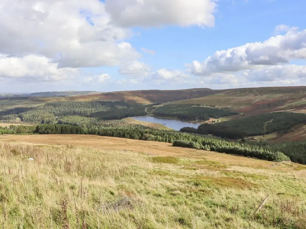 The Shearer's Hut