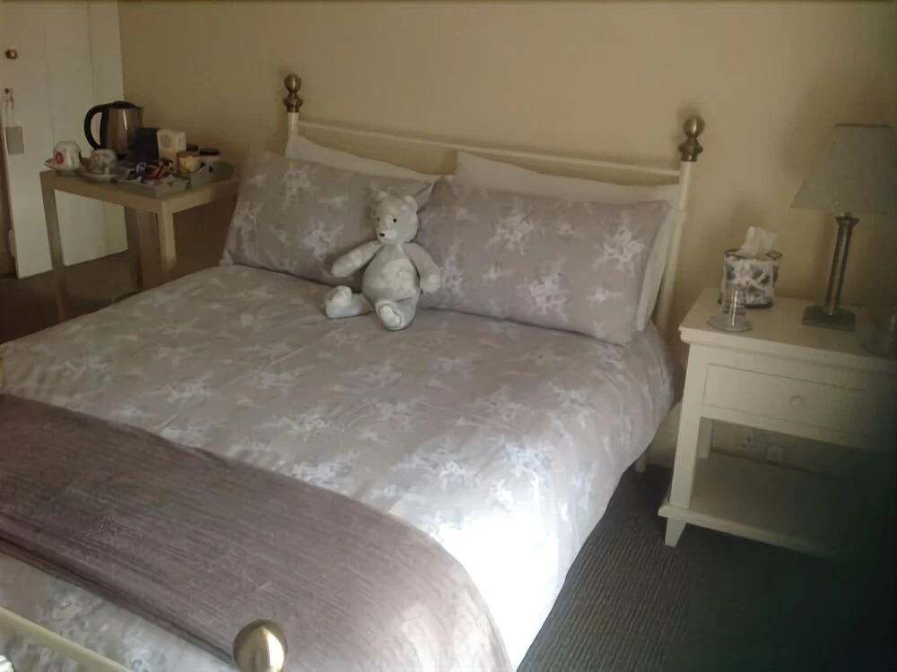 Lillys Pad