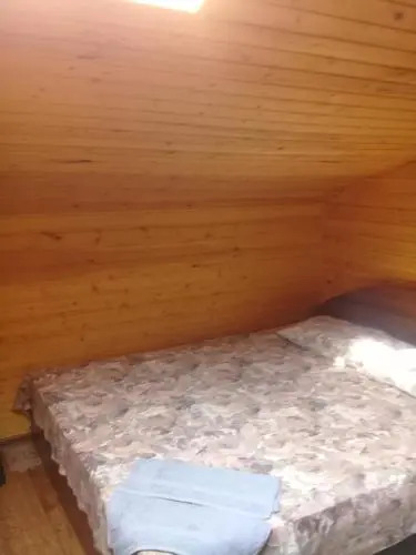 Guest House Argo