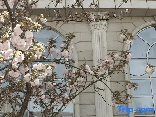 Summer Solstice Book Fragrance Hotel (Shanghai Fudan University Branch)