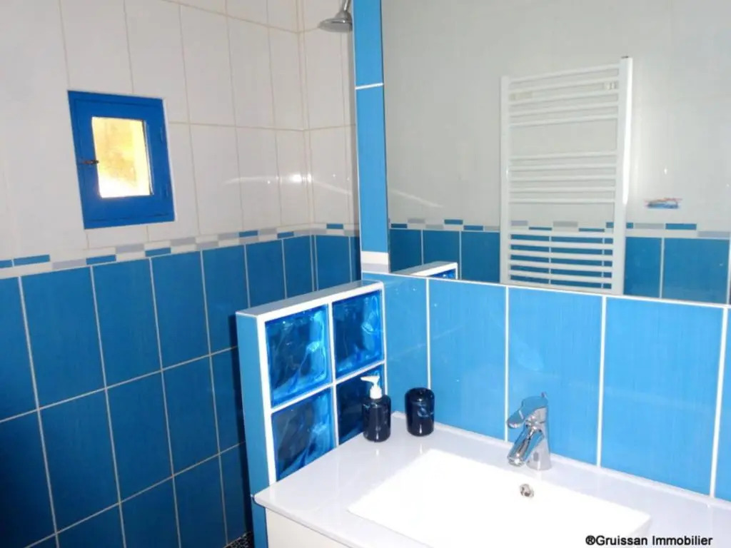 Chalet Gruissan, 4 pièces, 5 personnes - FR-1-444-91