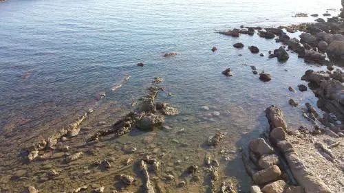Alghero Heart