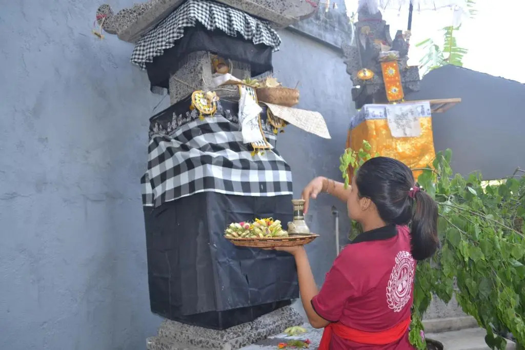 Master Homestay