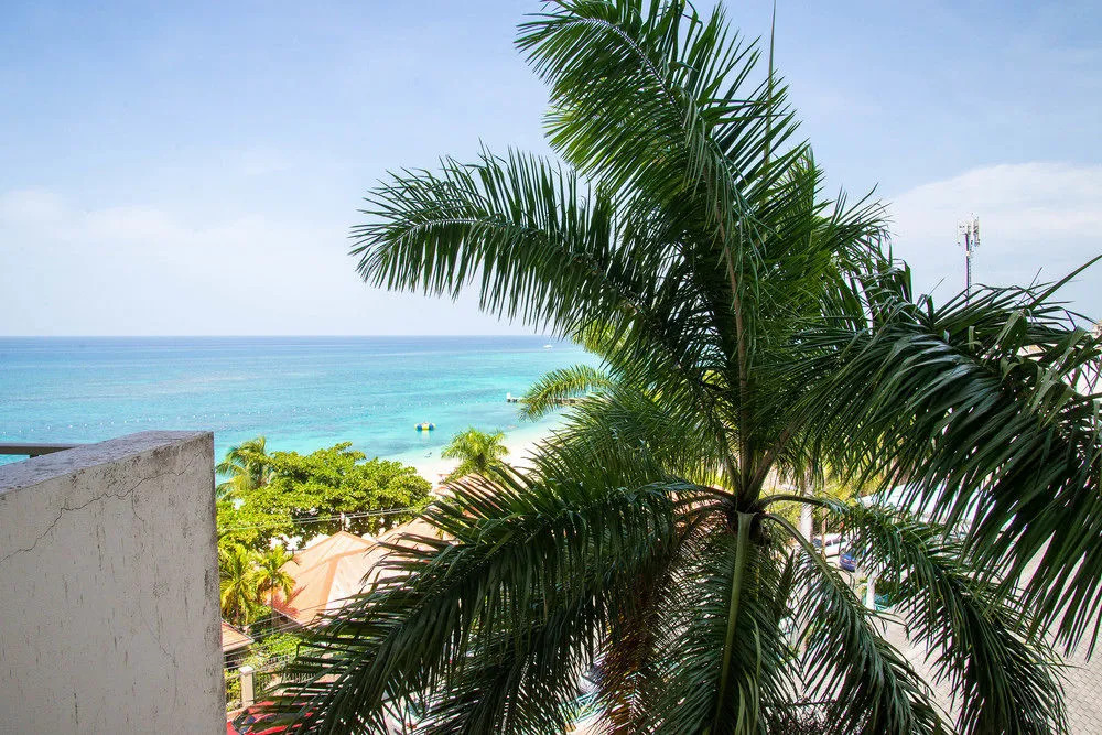 Sky Box Beach Suite at Montego Bay Club