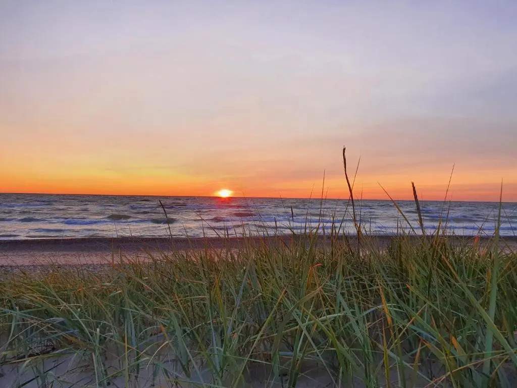 Baltic dunes apartments