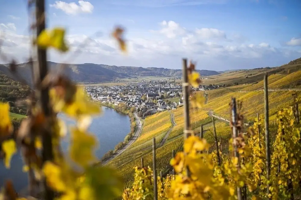 Rieslingquartier - Mosel Wein Hotel