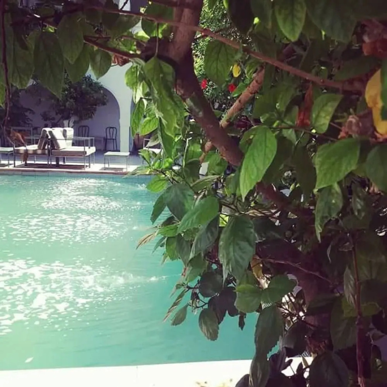 hotel arisha