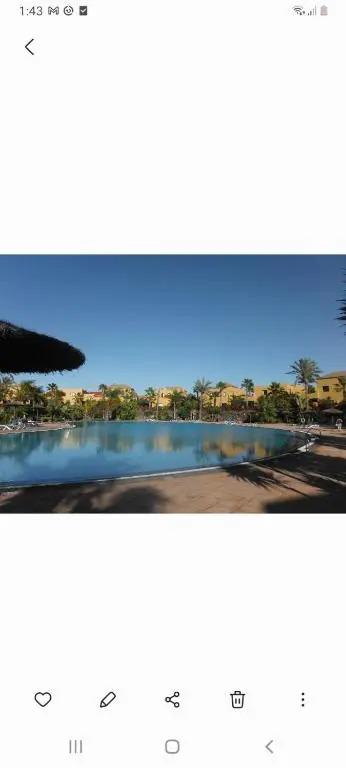Oasis vistamar2