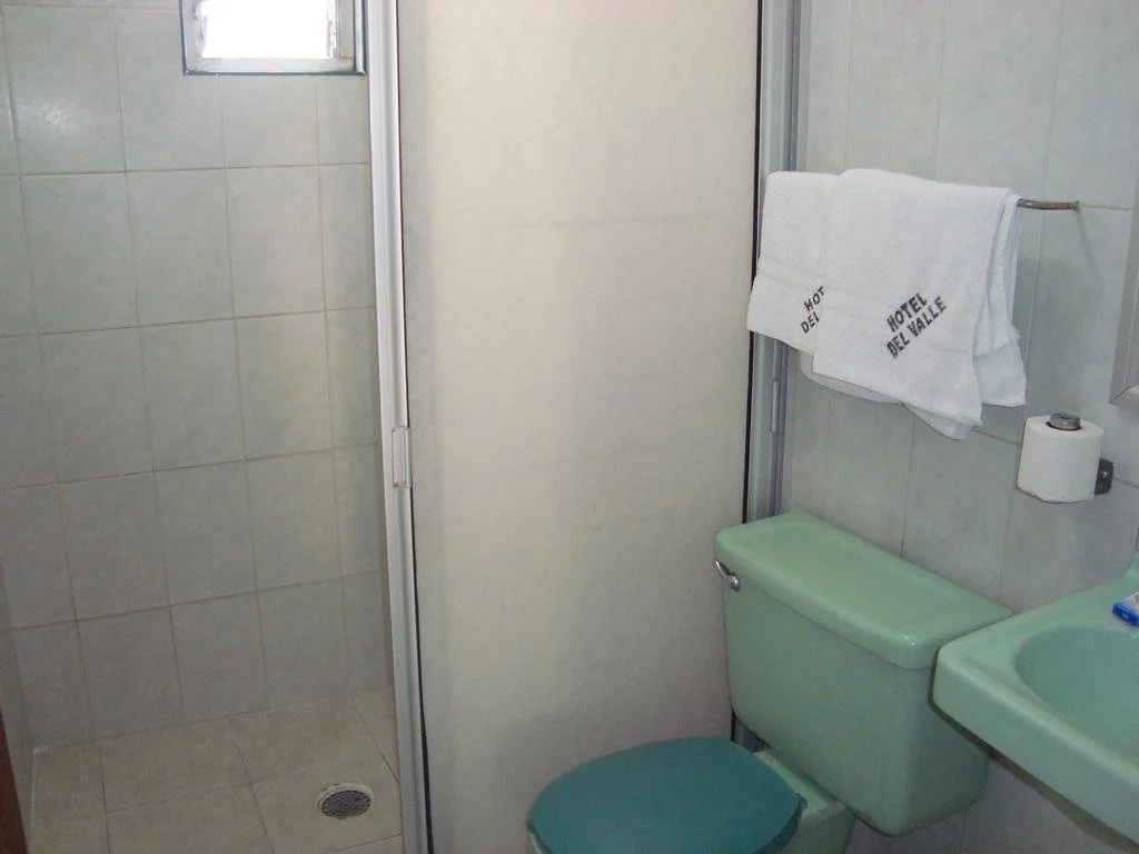 Hotel Del Valle