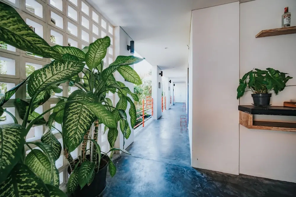 Allia Residence