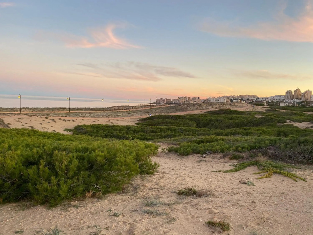 Apartment Benavente