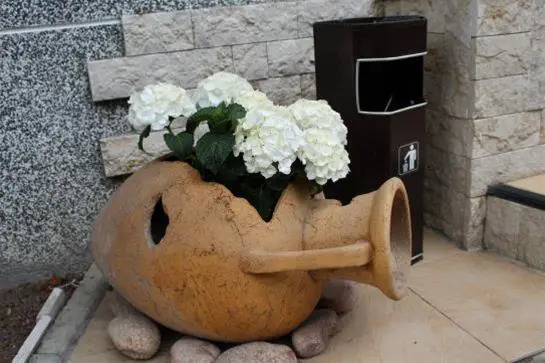 Villa florin