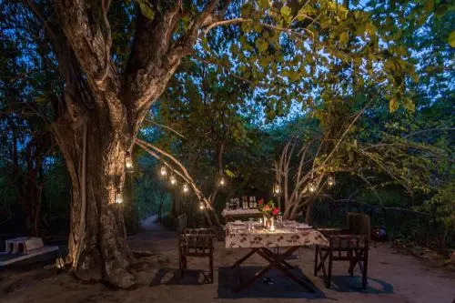 Tree House Hideway Bandhavgarh