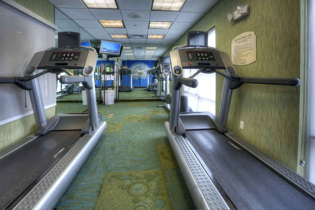 SpringHill Suites by Marriott - Tampa Brandon