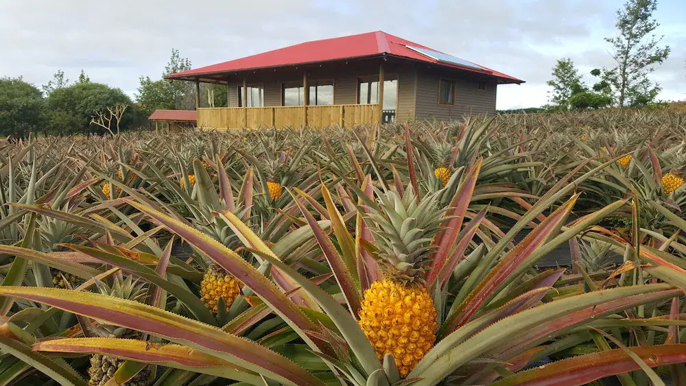 Maunga Roa Eco Lodge