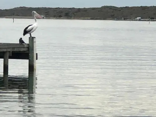 Goolwa Mariner’s Cottage - Free Wifi and Pet Friendly - Centrally located in Historic Region