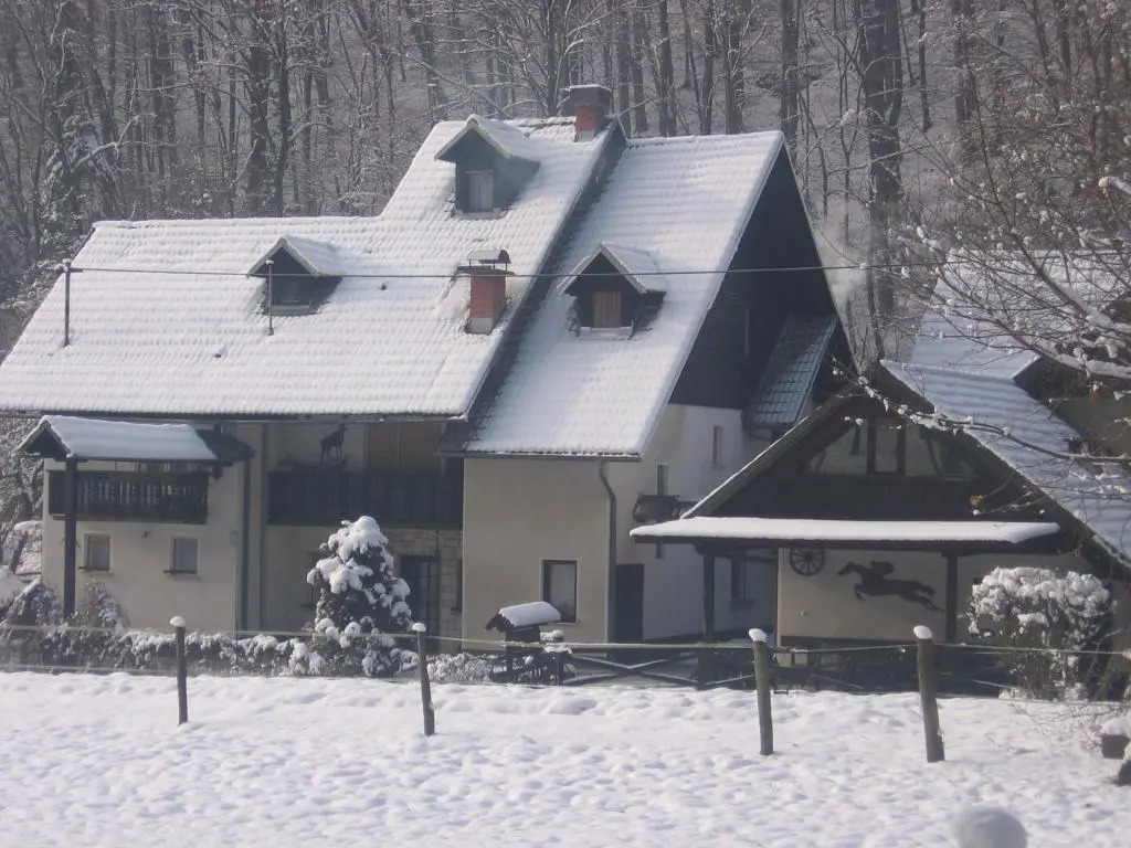 Apartments Gubanec