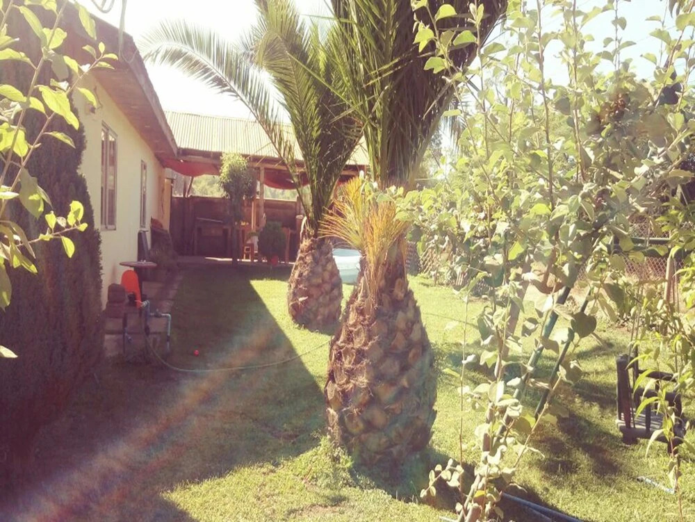 HOSTAL EL AROMO Chillán