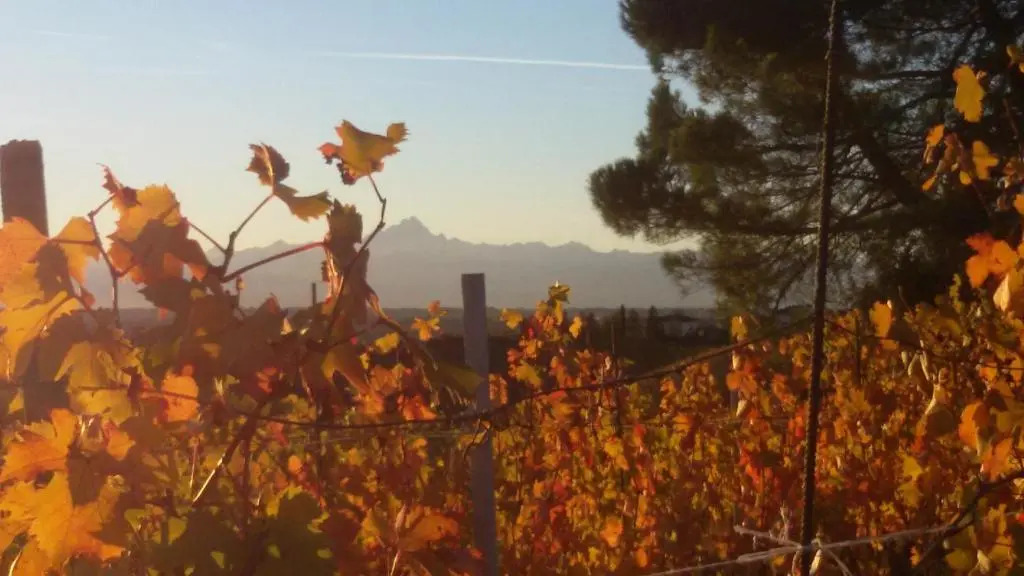 Cascina Torello