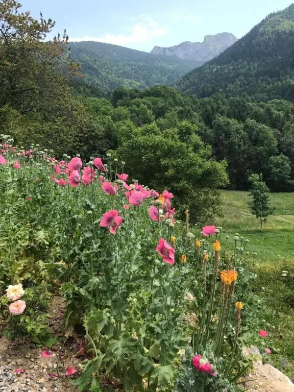 Chalet Eterlou