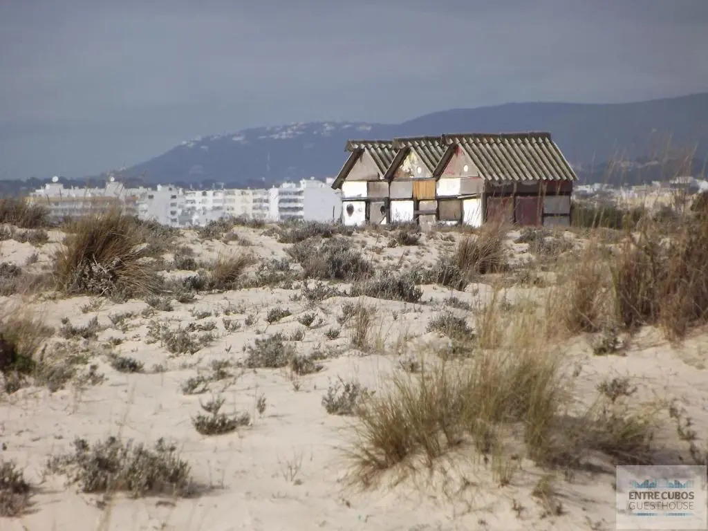 EntreCubos Guesthouse