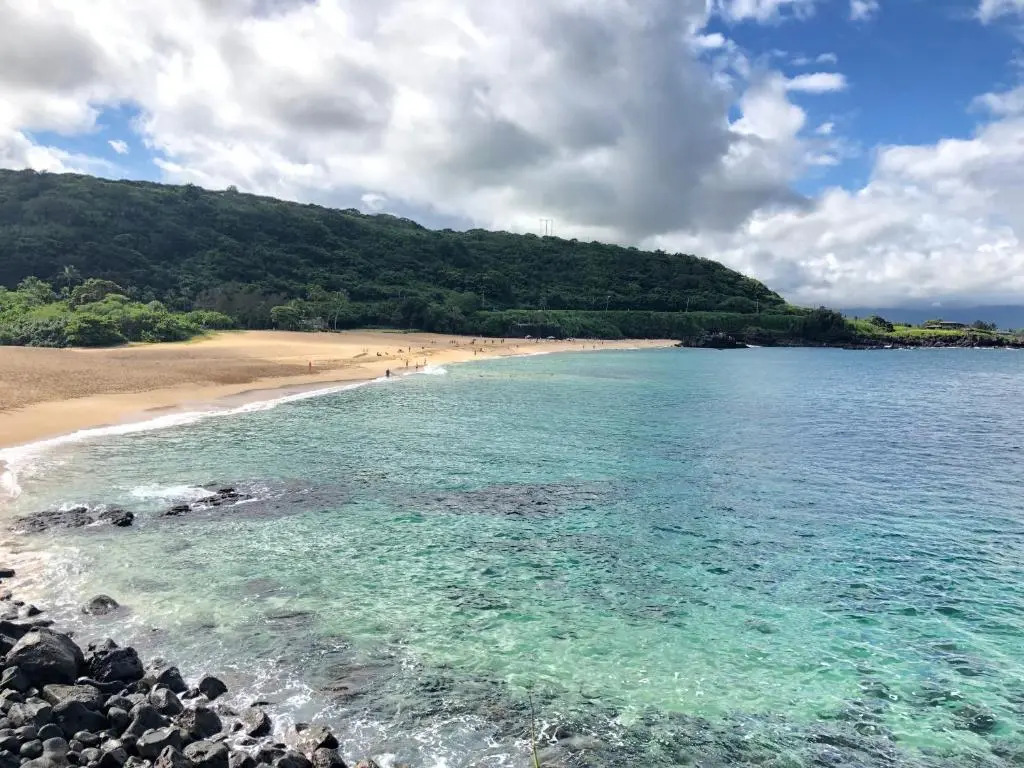 Beach Side Studio by Shark's Cove