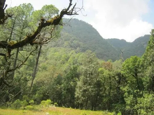 Janardan Homestay Nainital