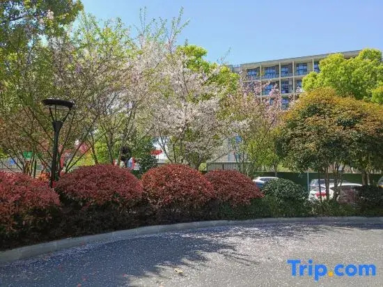 Sky City Boutique Apartments