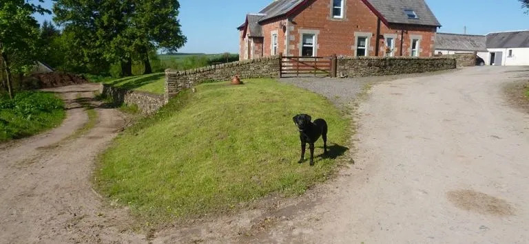 Thorniewhats B&B
