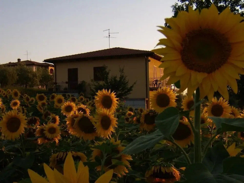B&B Il Girasole