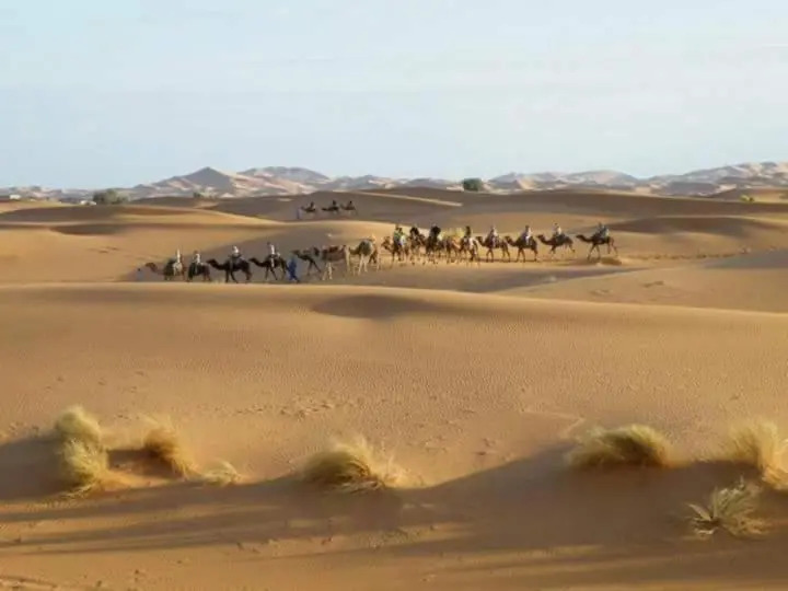 Bivouac Dune Iriki