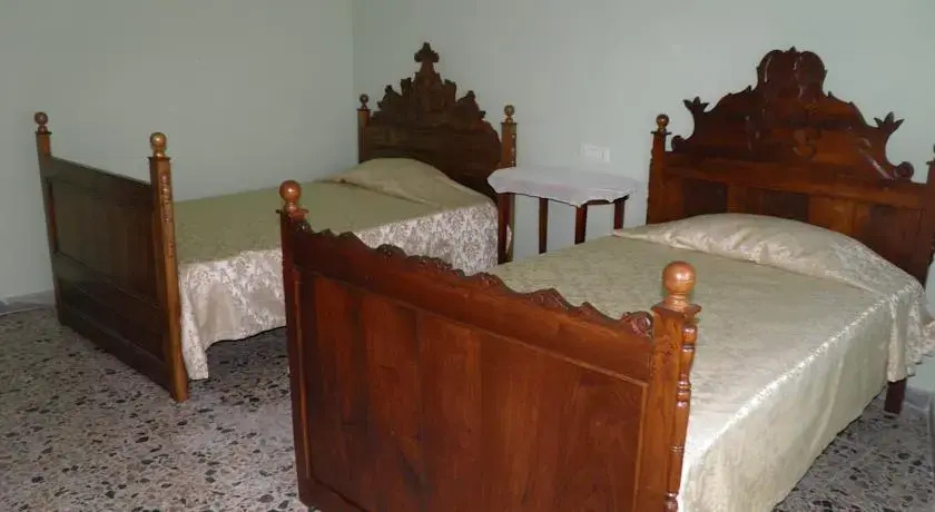 Terre degli Ulivi