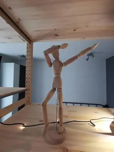 Loft 50m2 plein centre-ville avec garage, WiFi...