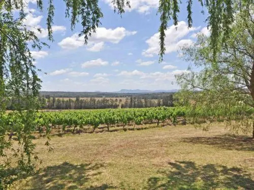 Beggars Bridge Vineyard Homestead with pool and tennis