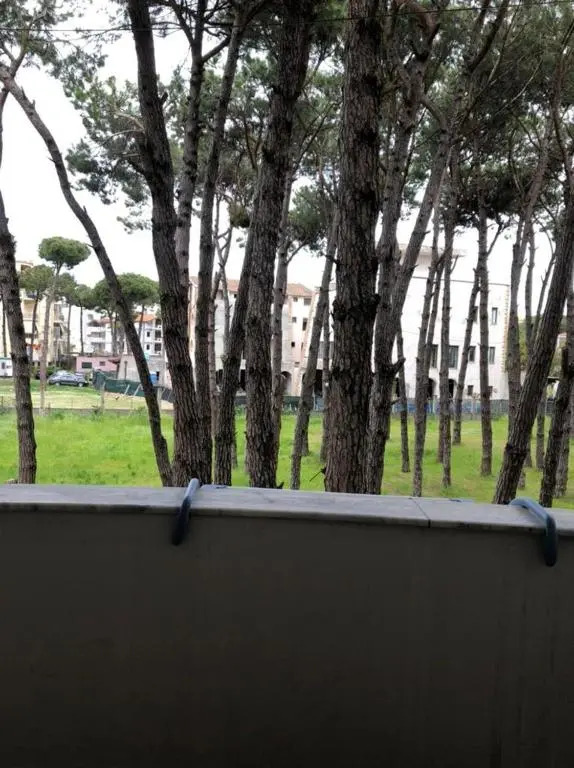 Apartament 8