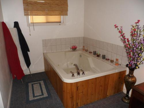 The Silver Birch Motel