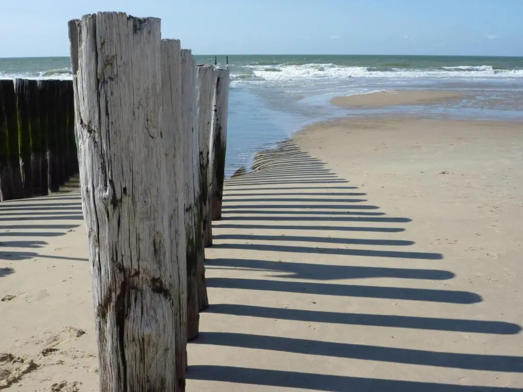Vakantiehuis Zee, Bos & Duin Zoutelande ZO02