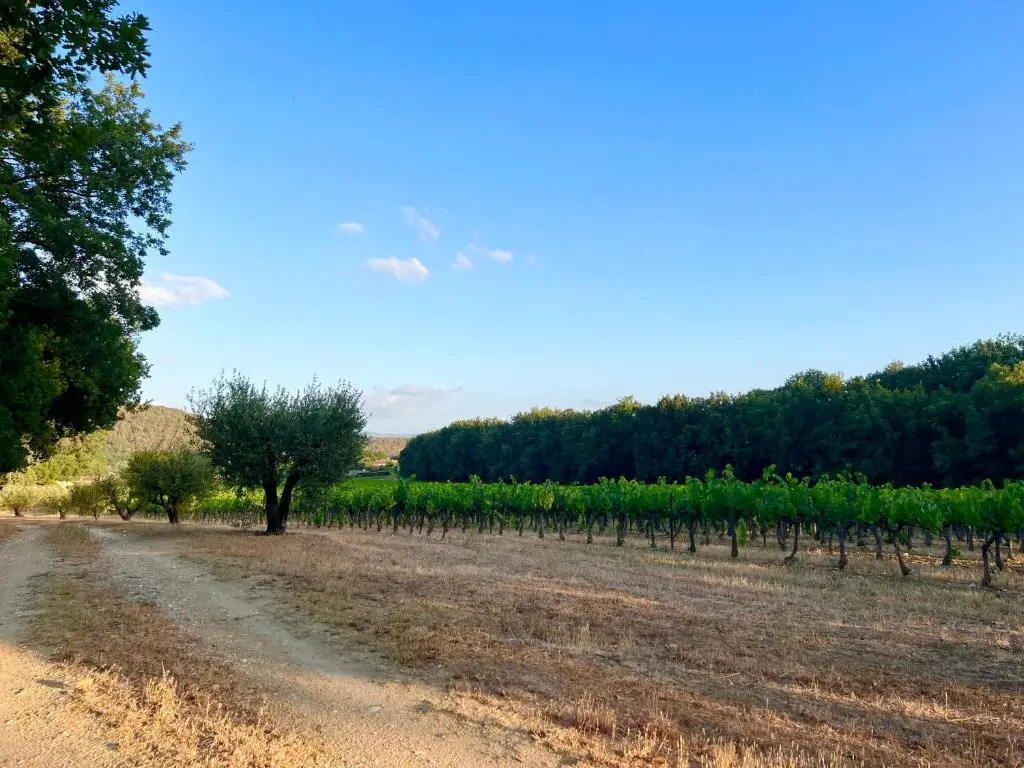 T2 avec terrasse arborée proche LOURMARIN