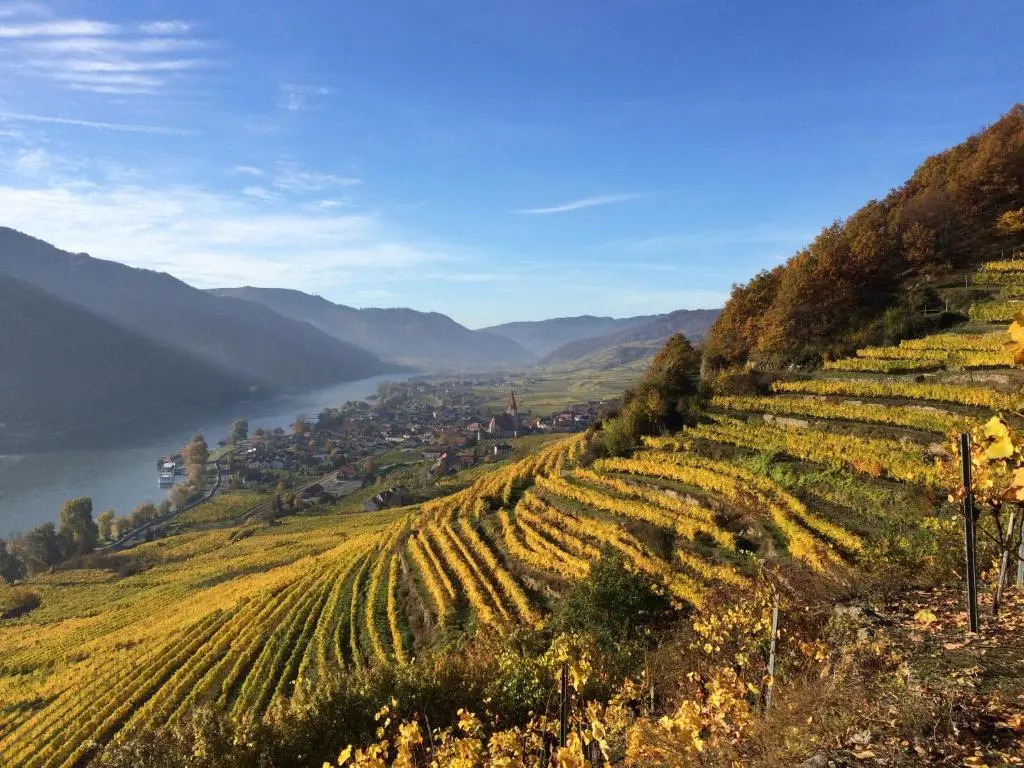Weingut Langmayer